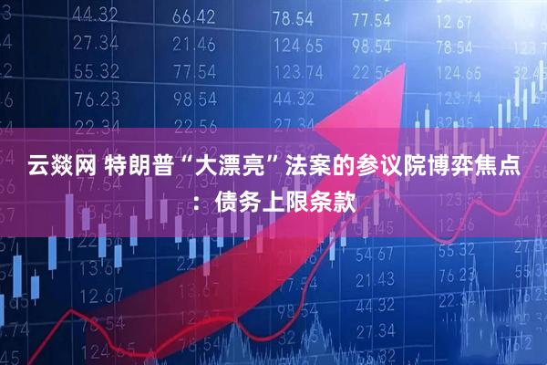 云燚网 特朗普“大漂亮”法案的参议院博弈焦点：债务上限条款