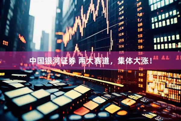 中国银河证券 两大赛道，集体大涨！
