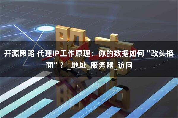 开源策略 代理IP工作原理：你的数据如何“改头换面”？_地址_服务器_访问