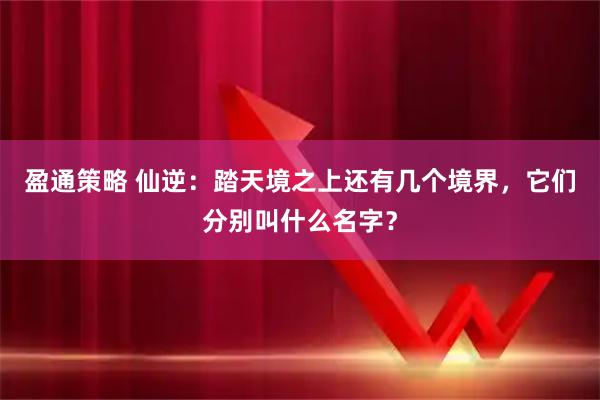 盈通策略 仙逆：踏天境之上还有几个境界，它们分别叫什么名字？