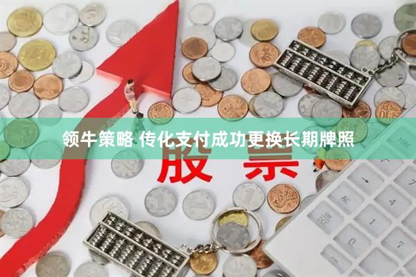 领牛策略 传化支付成功更换长期牌照