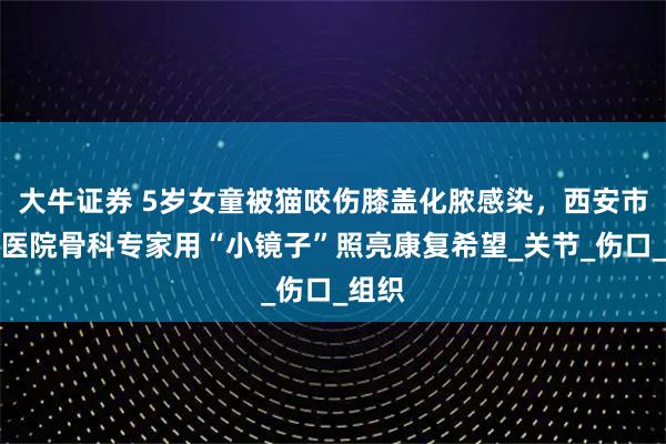 大牛证券 5岁女童被猫咬伤膝盖化脓感染，西安市中心医院骨科专家用“小镜子”照亮康复希望_关节_伤口_组织